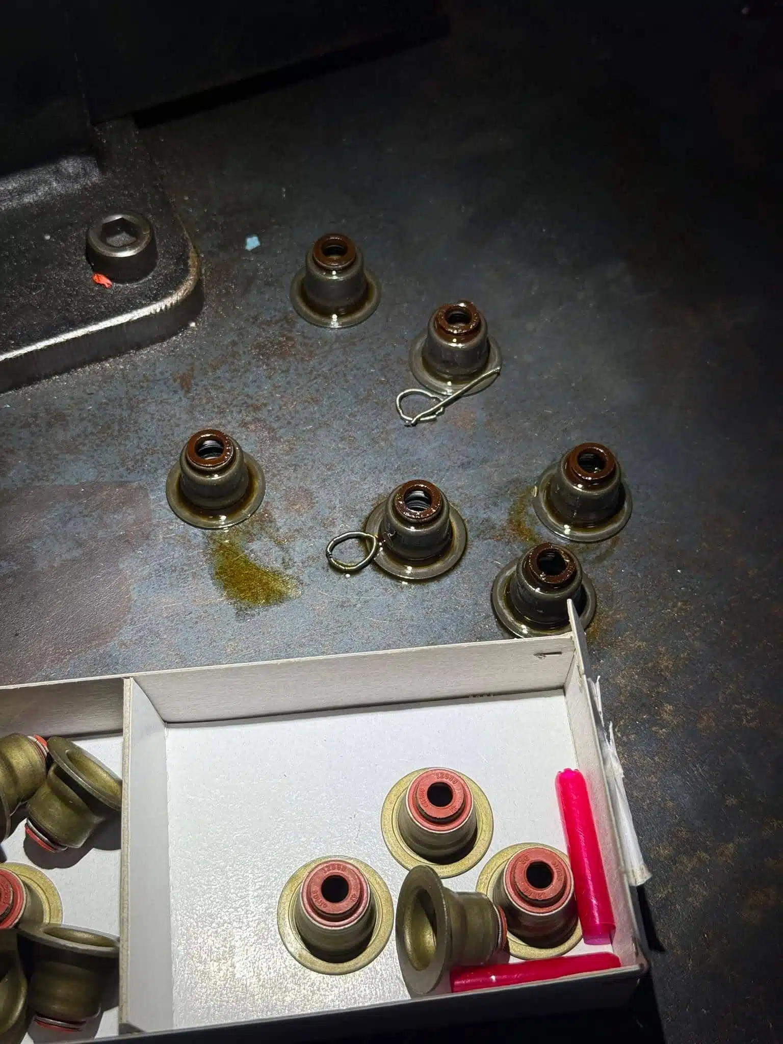 Worn valve stem seals removed from a BMW X5M S63 engine during replacement at Pace Auto Werks